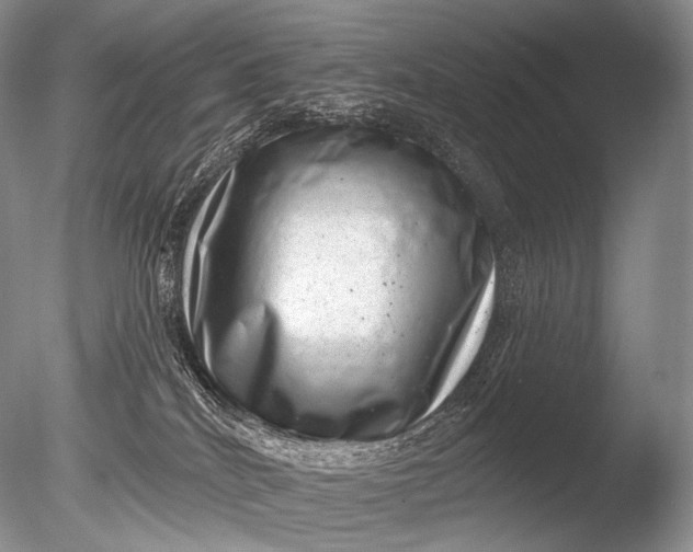 X0000085800040200703301510