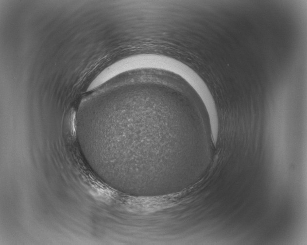 X0000085800041200703301510