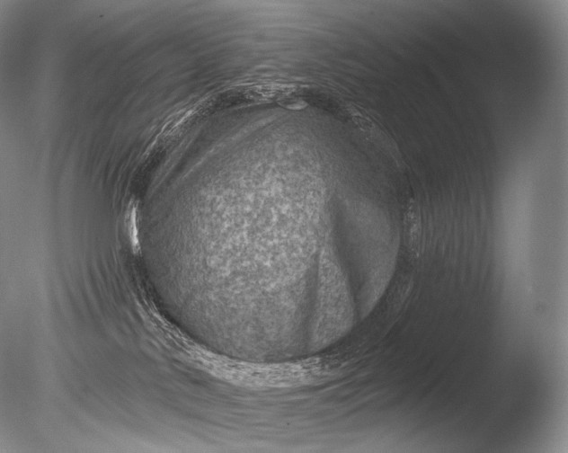 X0000085800042200703301510