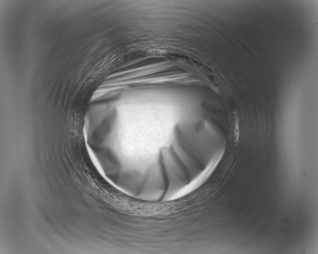 X0000085800044200703301510