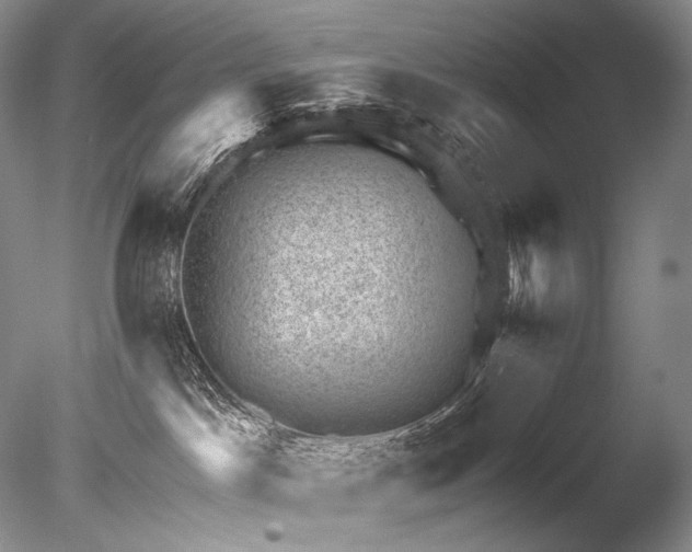 X0000085800045200703301510