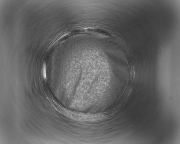 X0000085800046200703301510