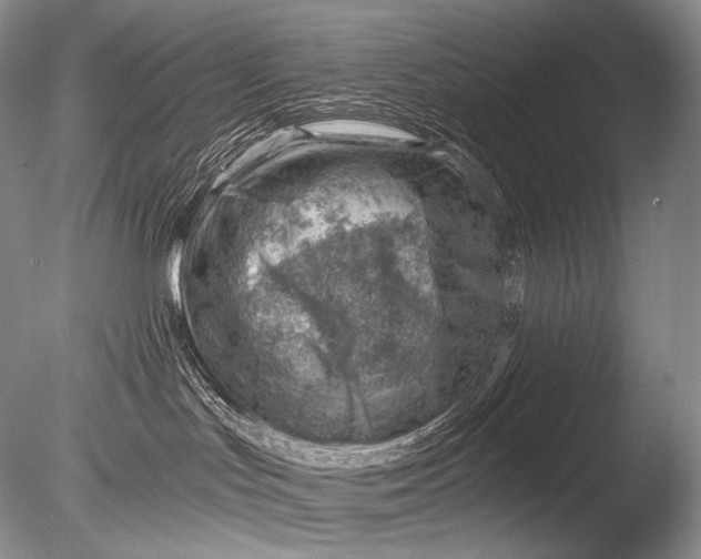 X0000085800047200703301510