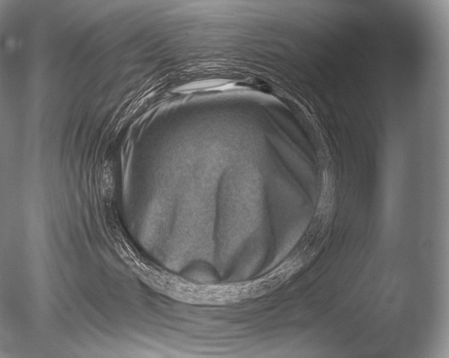 X0000085800048200703301510