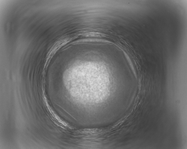 X0000085800049200703301509