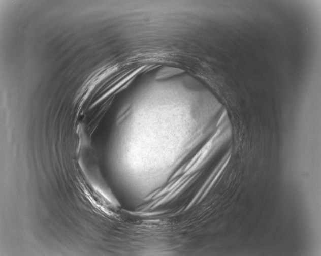 X0000085800050200703301509