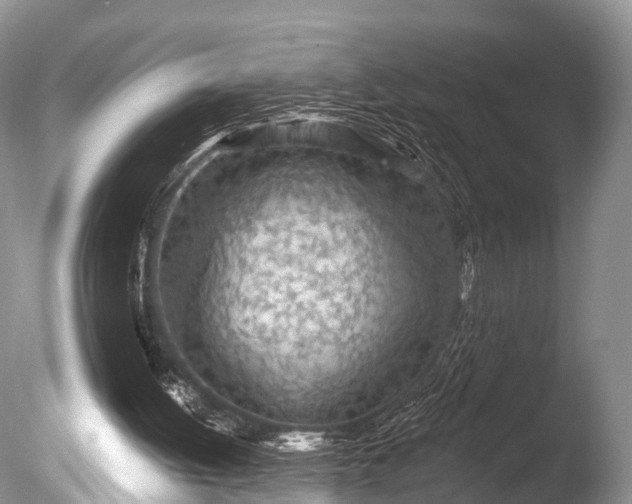 X0000085800052200703301509