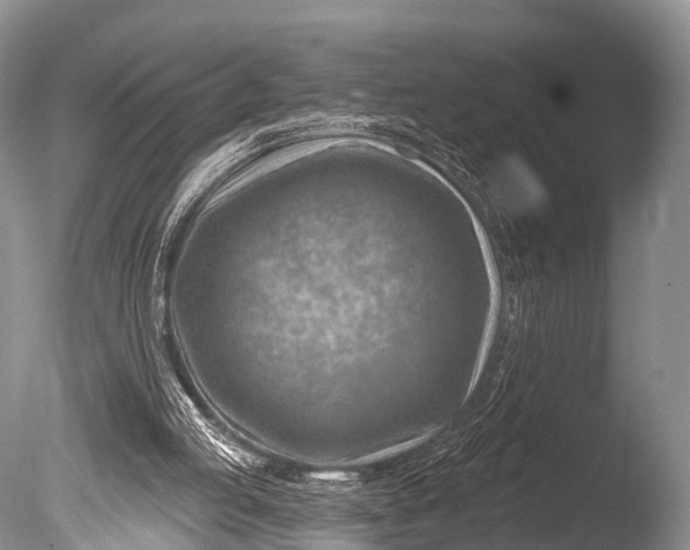 X0000085800053200703301509