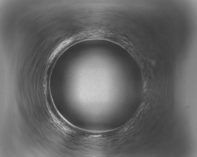 X0000085800054200703301509