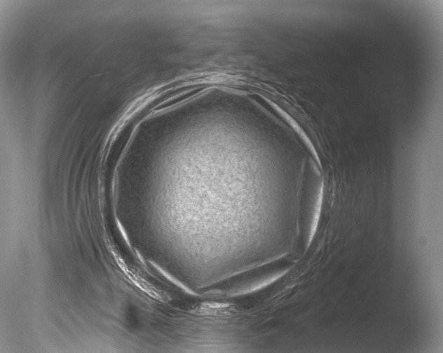 X0000085800055200703301509