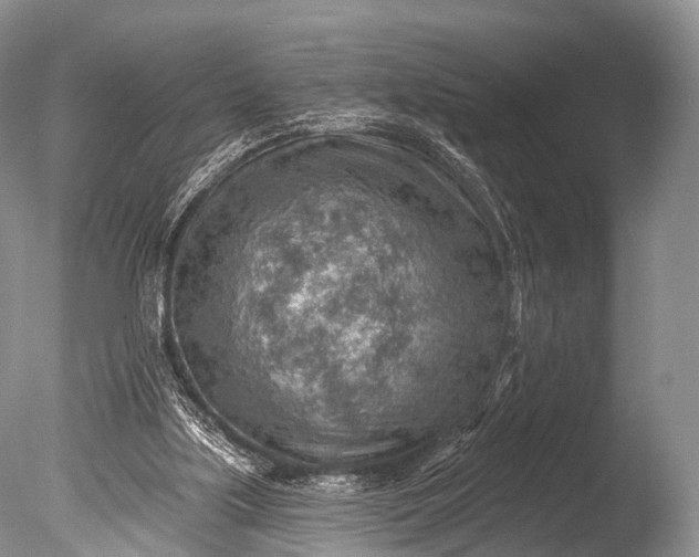 X0000085800059200703301509