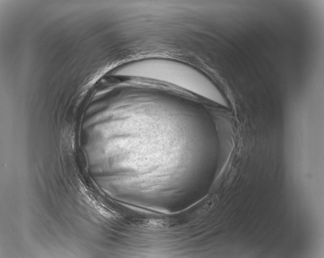 X0000085800060200703301509