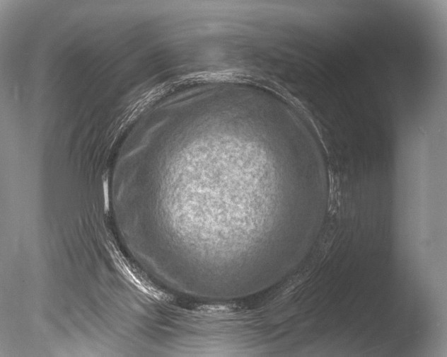 X0000085800061200703301509