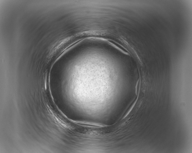 X0000085800062200703301509