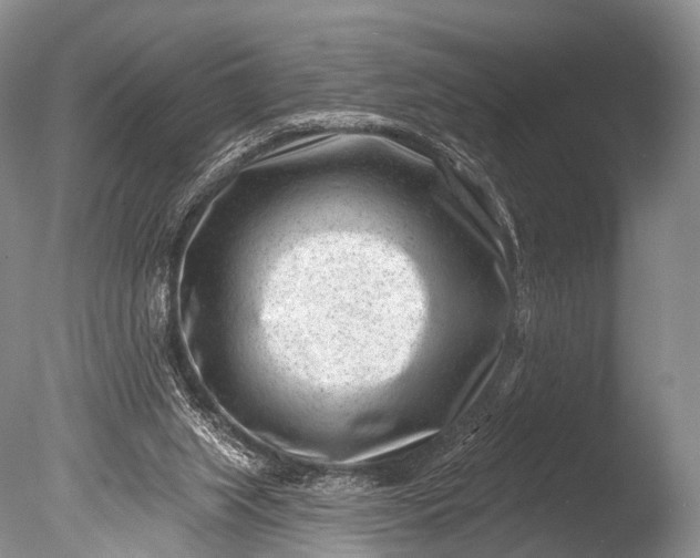 X0000085800063200703301509