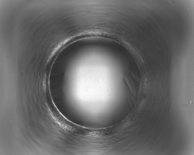 X0000085800064200703301509