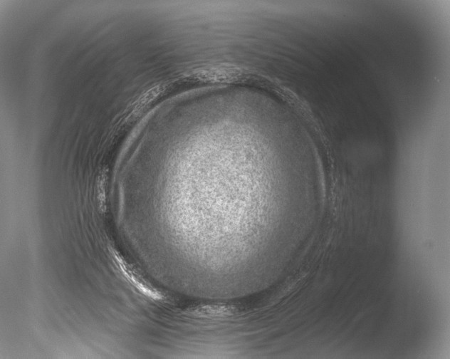 X0000085800065200703301509