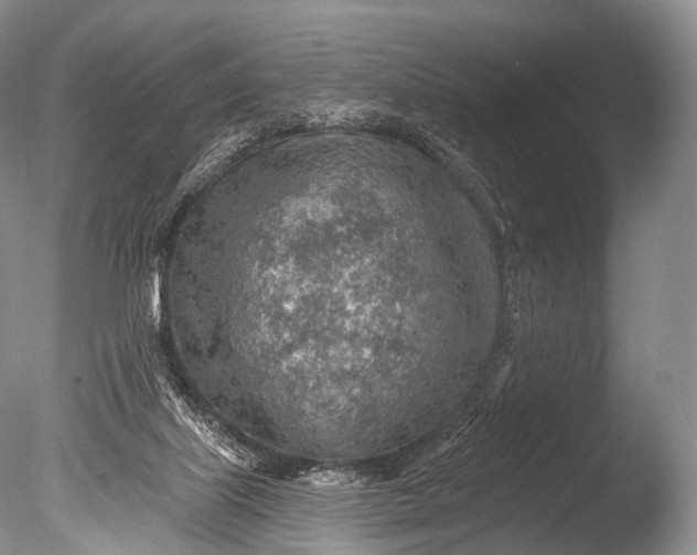 X0000085800067200703301509