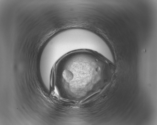 X0000085800068200703301509