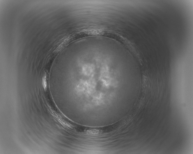 X0000085800069200703301509