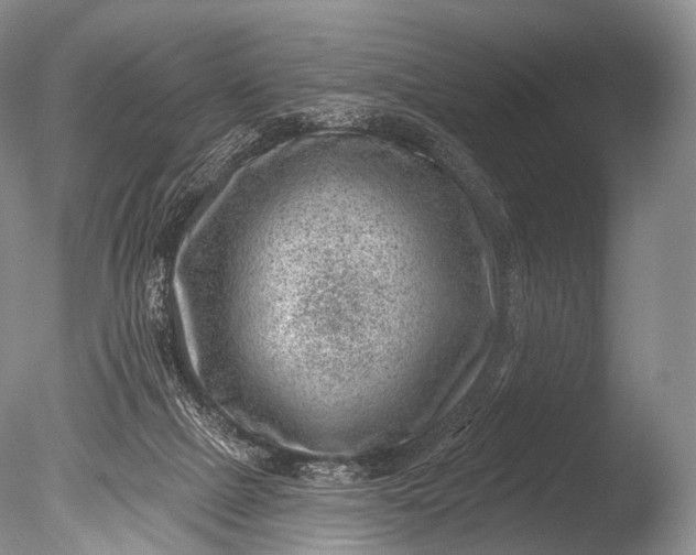 X0000085800073200703301509