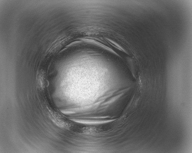 X0000085800074200703301509