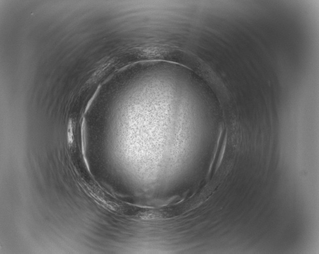 X0000085800075200703301509