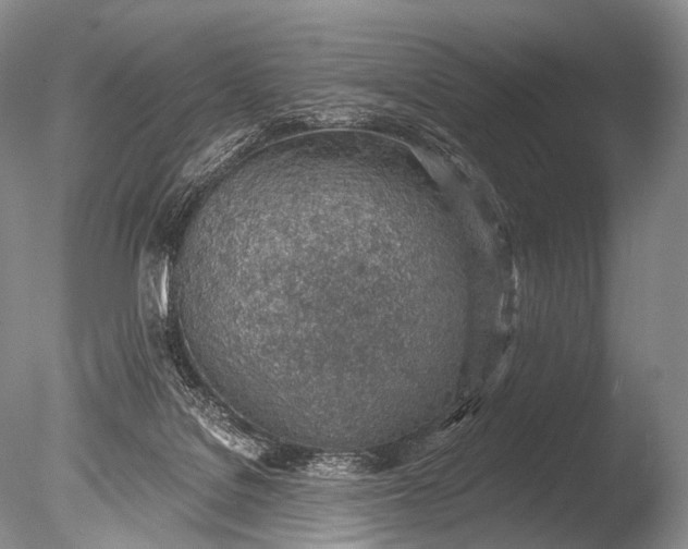 X0000085800076200703301509