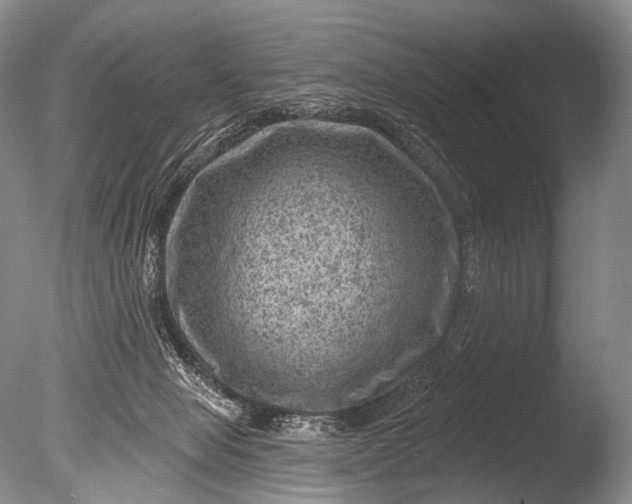 X0000085800077200703301509