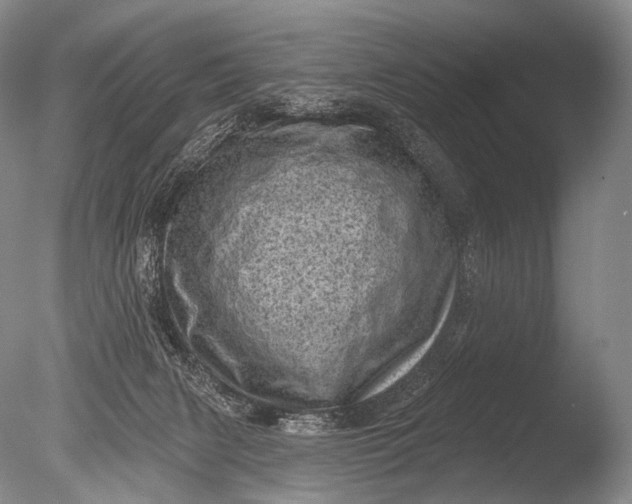 X0000085800079200703301509