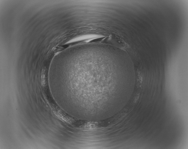 X0000085800080200703301509