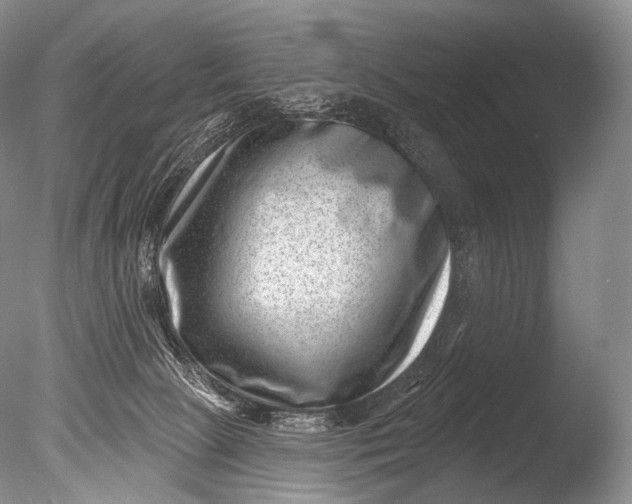 X0000085800081200703301509