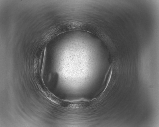 X0000085800082200703301509