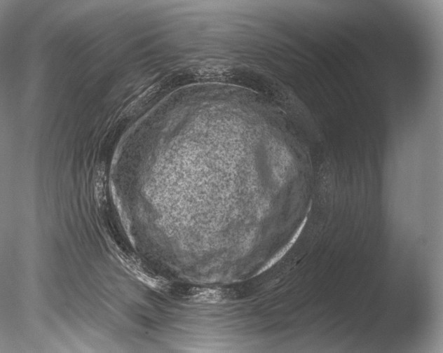 X0000085800083200703301509