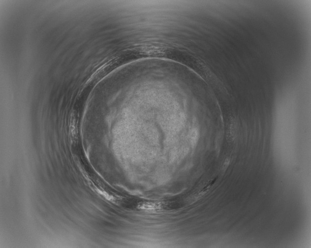 X0000085800084200703301509