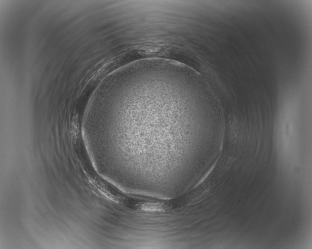 X0000085800085200703301509