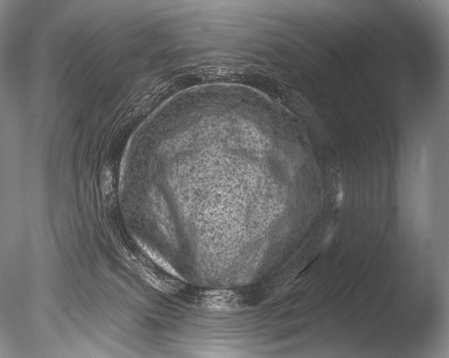 X0000085800087200703301509