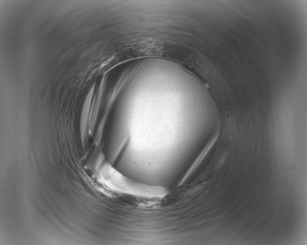 X0000085800088200703301509