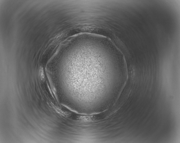 X0000085800089200703301509