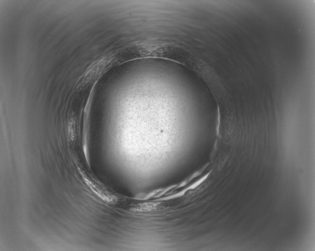 X0000085800090200703301510