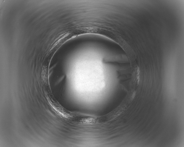 X0000085800092200703301510