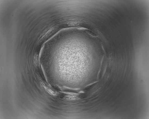 X0000085800093200703301510