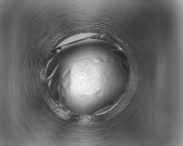 X0000085800096200703301510