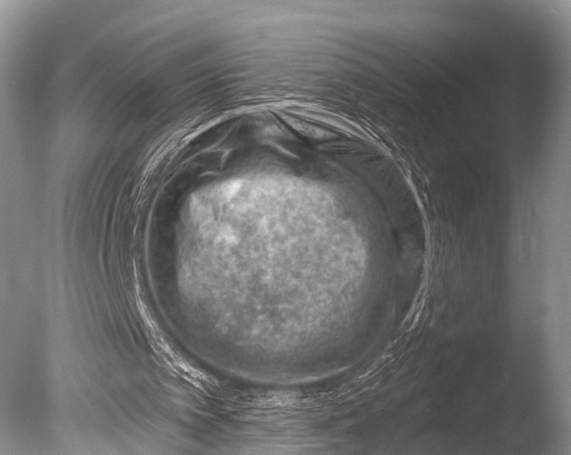 X0000085800097200703301509