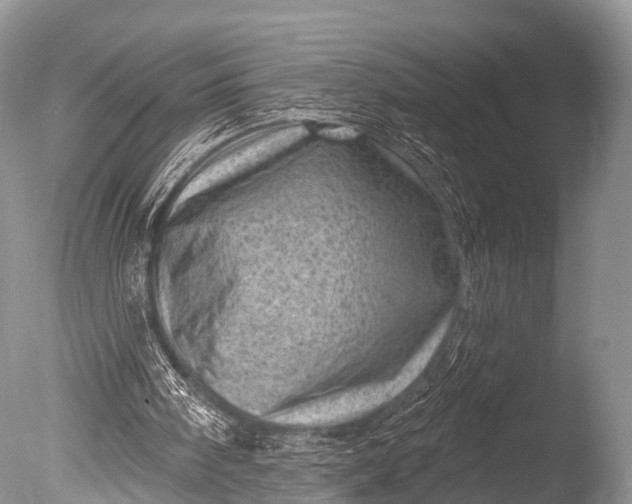 X0000085800098200703301509