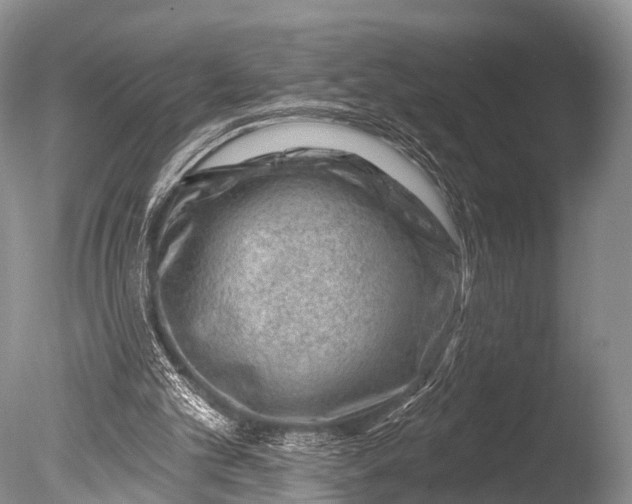 X0000085800101200703301509