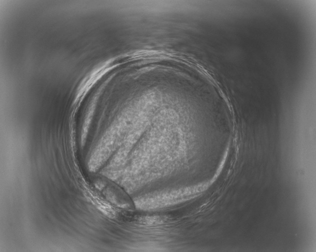 X0000085800103200703301509