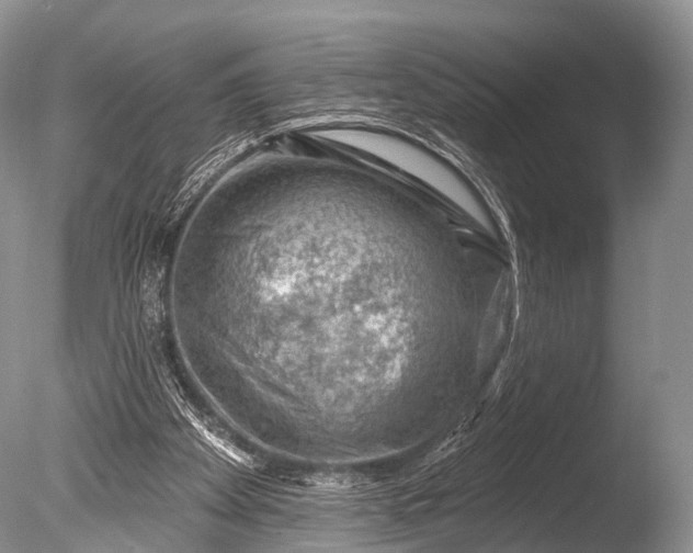 X0000085800105200703301509