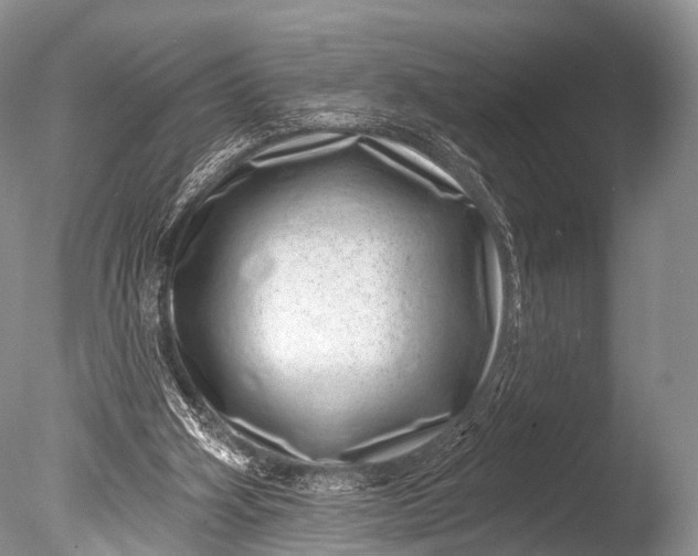 X0000085800106200703301509