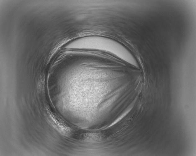 X0000085800107200703301509